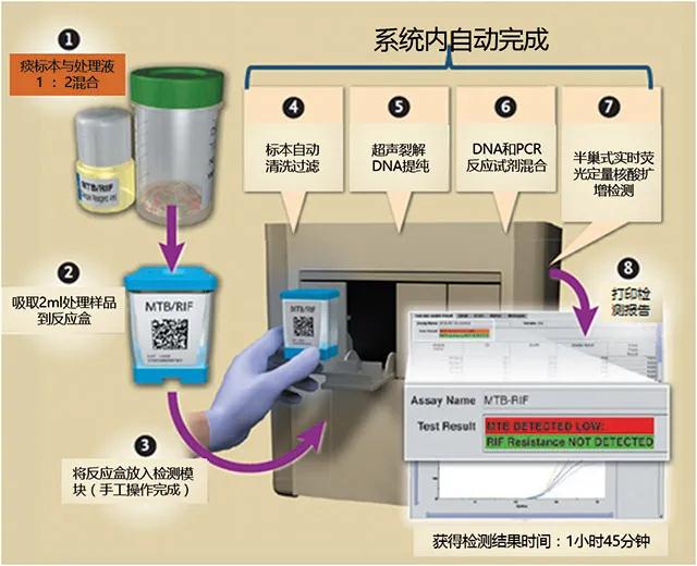 全套国产、进口分子诊断POCT品牌、型号、参数详情拆解及前景预测