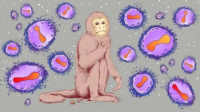 新品首发！▶猴痘抗体◀华葵金配研制成功！